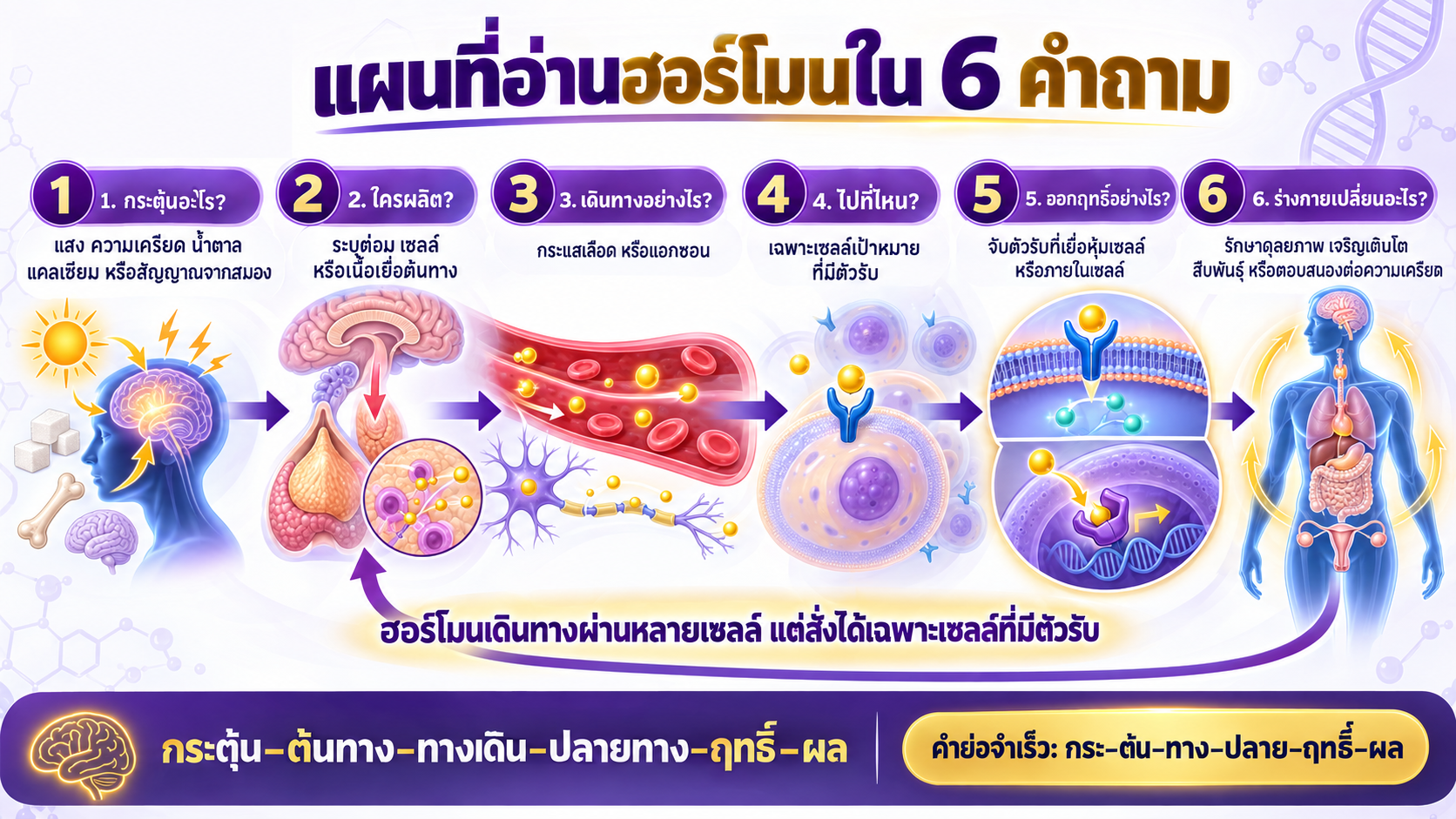 รูปปก