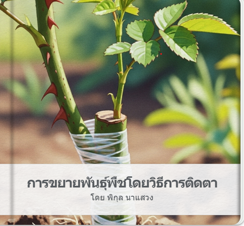 รูปปก